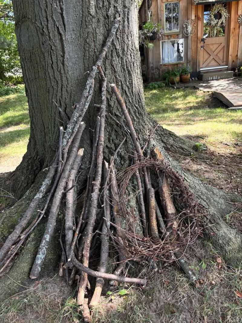 Create Brush Piles For Nesting Birds