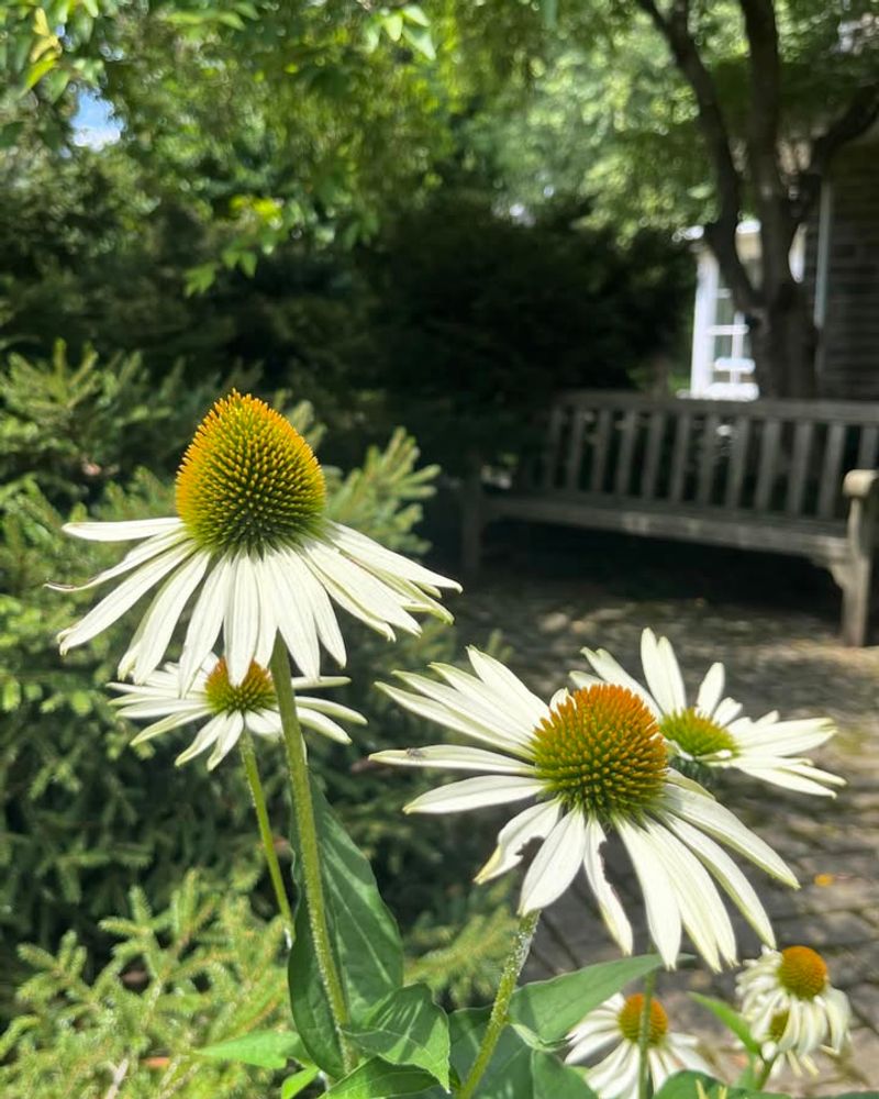 Mark Plant Locations For Spring