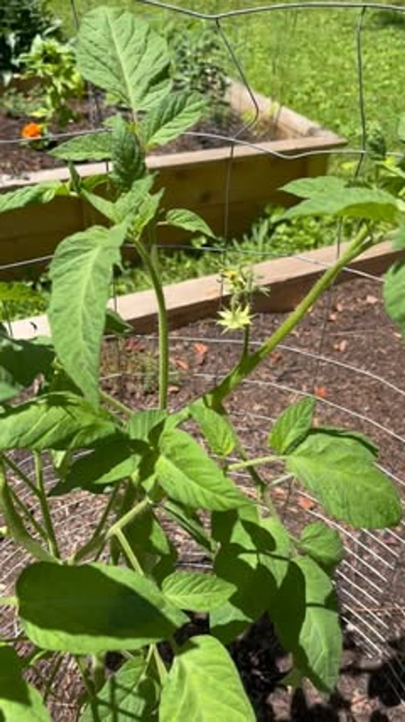 Feed The Soil Now For A Better Spring Start