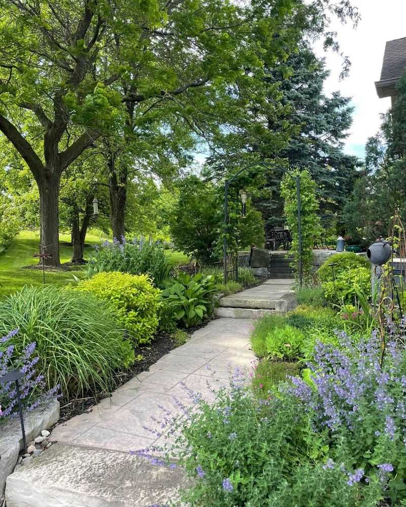 Embrace Native Plants for Easy Care