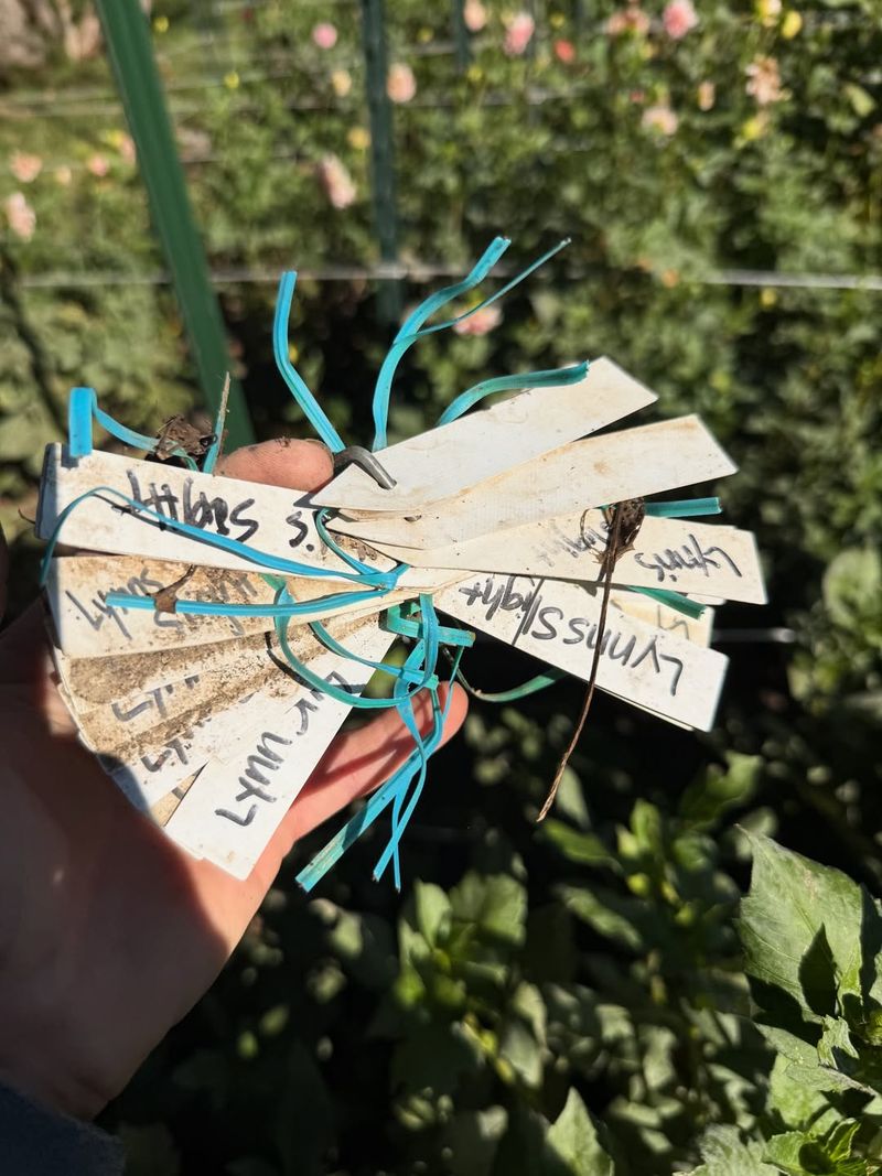 Label Each Container Clearly With Seed Type And Planting Date
