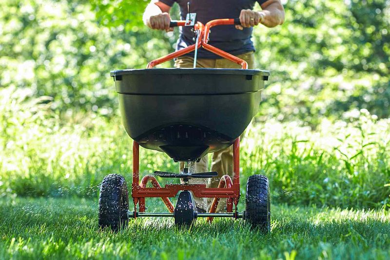 Fertilize And Prepare Your Lawn For Winter