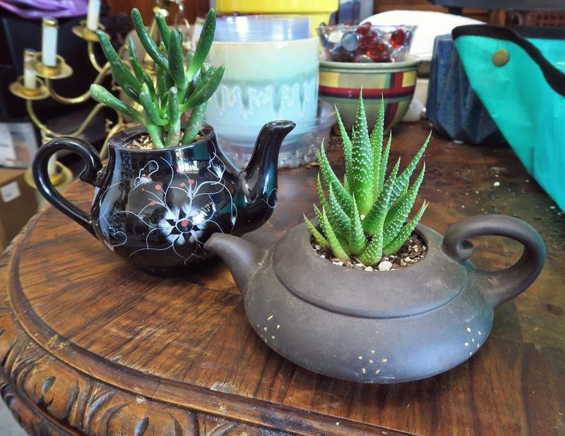 Broken Teapot And Mug Succulent Gardens