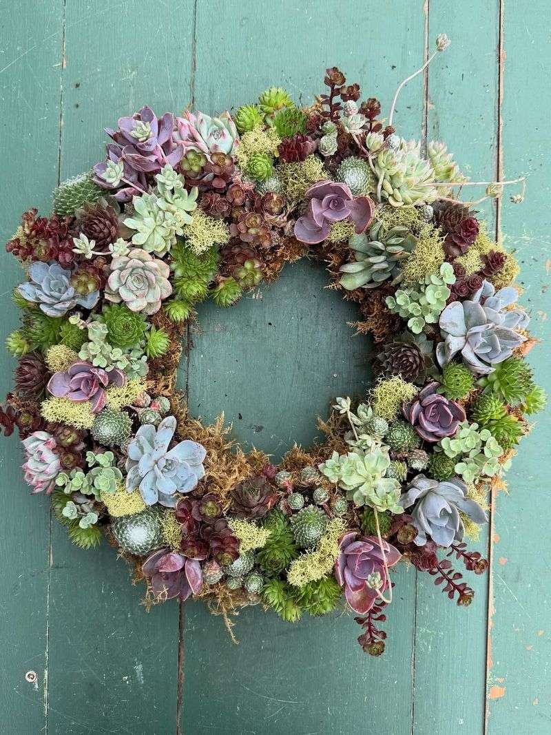 Succulent Wreaths Mounted On Patio Walls