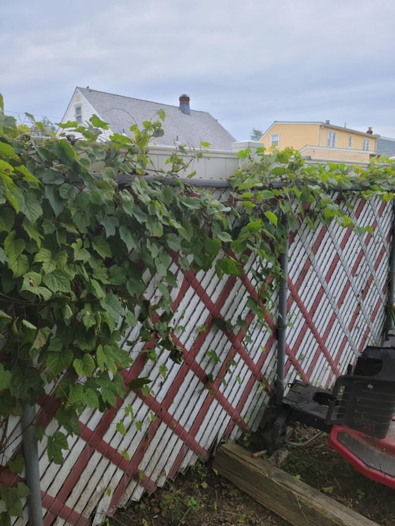 Document Everything Before And After Trimming