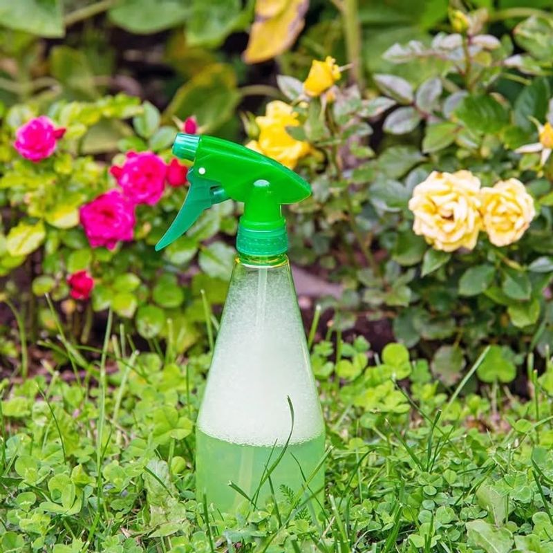 Fungal And Bacterial Treatments Are Having Unexpected Effects