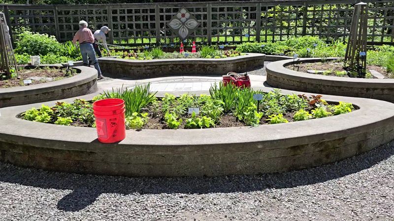 Educational Programs Teaching Northern Gardening