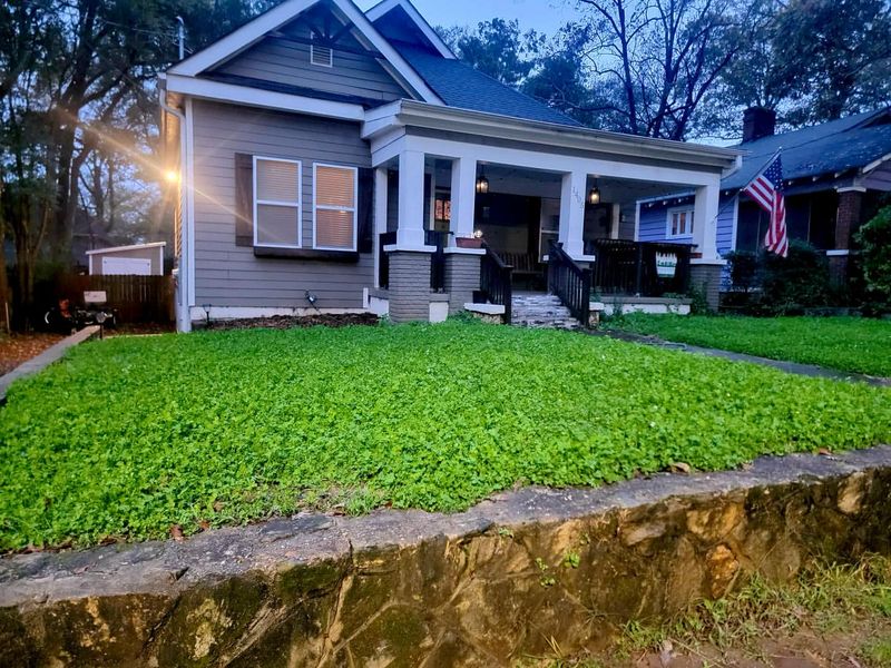 Lawn Alternatives Save Time And Resources