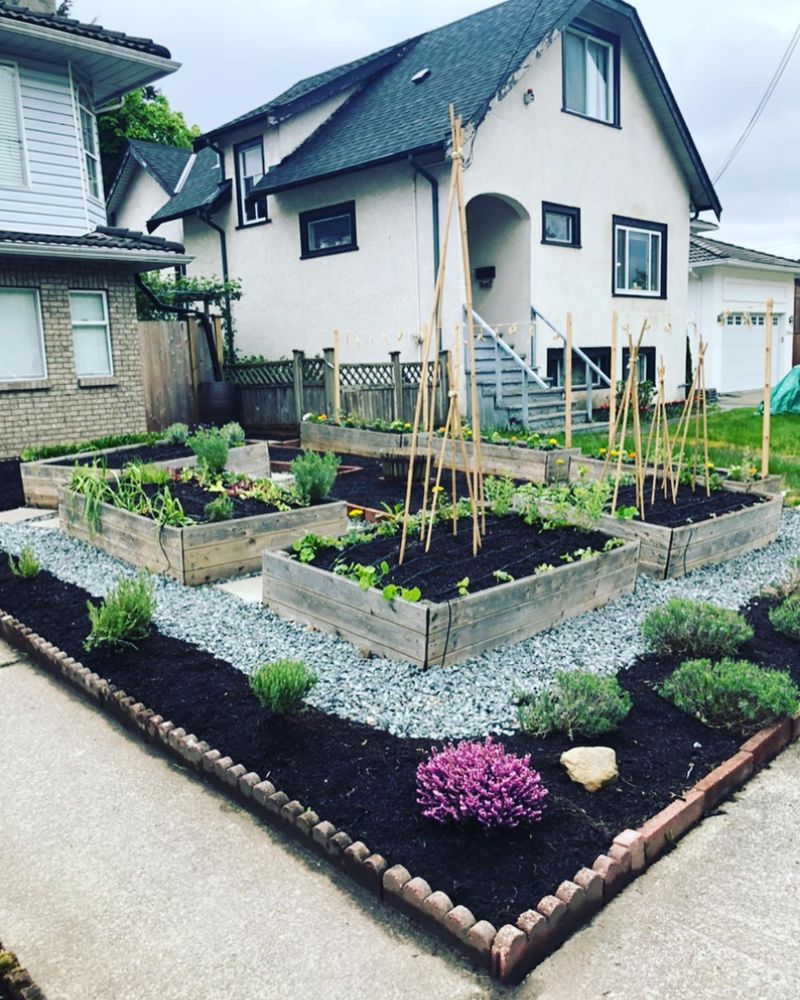 Edible Landscaping Blends Beauty With Function