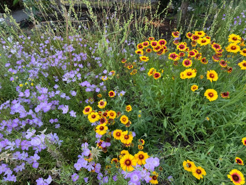 Water Conservation Benefits Are Significant