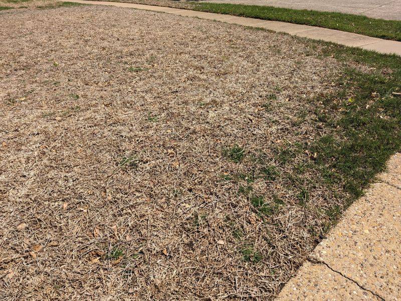 Climate Change Makes Grass Harder To Grow