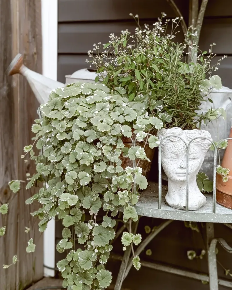 Weather Patterns Are Becoming Less Predictable