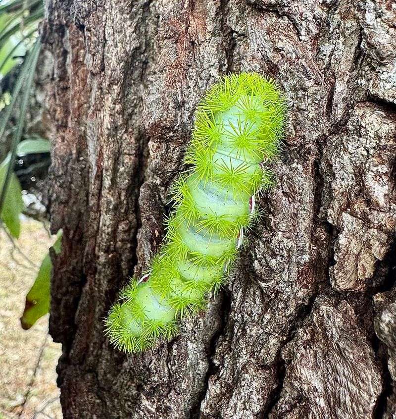 First Aid Steps After Contact