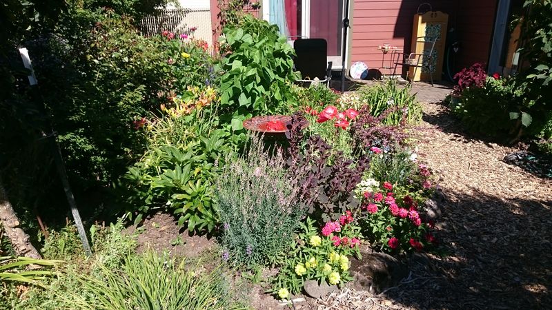 Columbia Ecovillage Community Garden