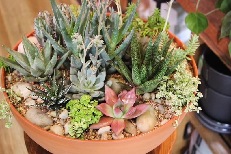 Monitor Temperature Fluctuations Carefully