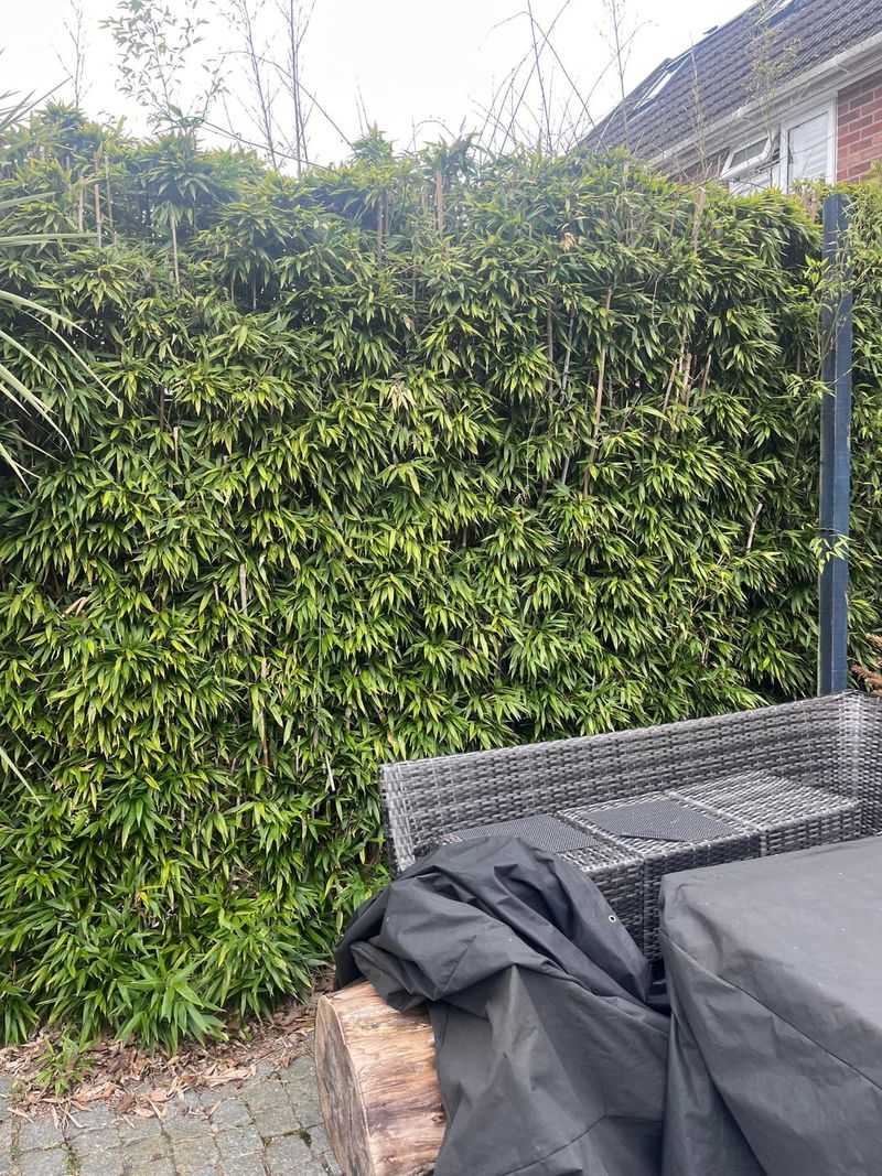 When To Involve Your Homeowners Association