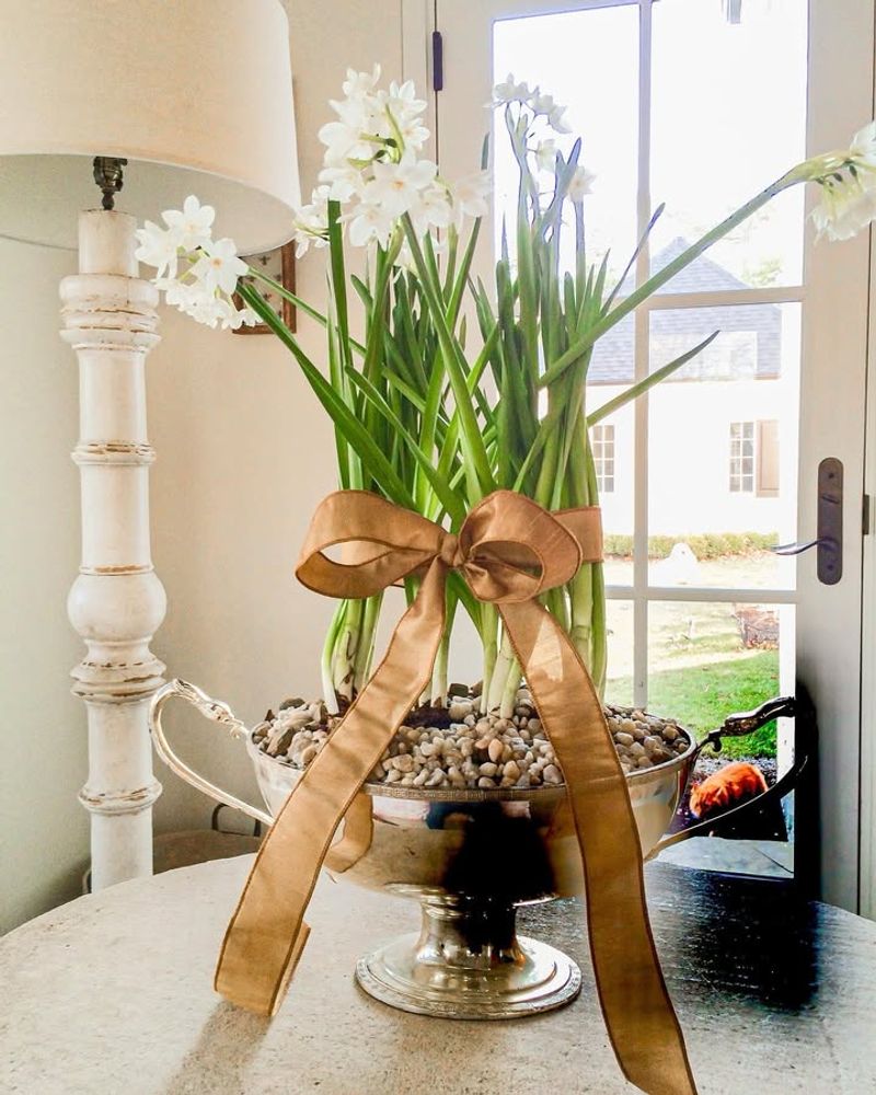 Paperwhite Narcissus Arranged In Decorative Containers