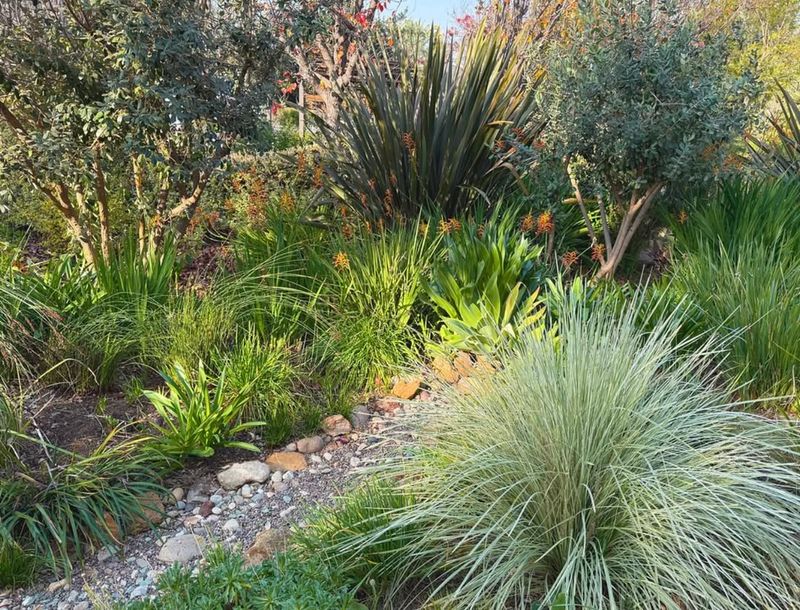 Educational Resources and Workshops Are Available Free