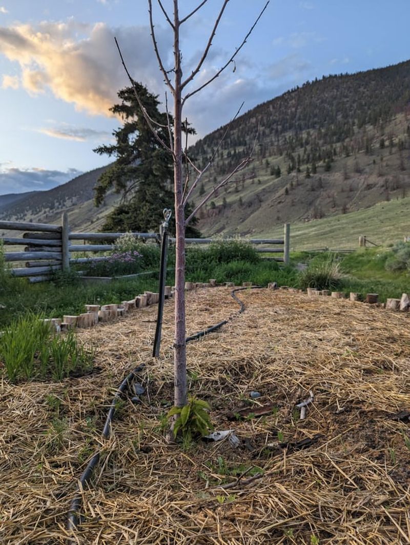 Stored Energy Reserves Get Wasted