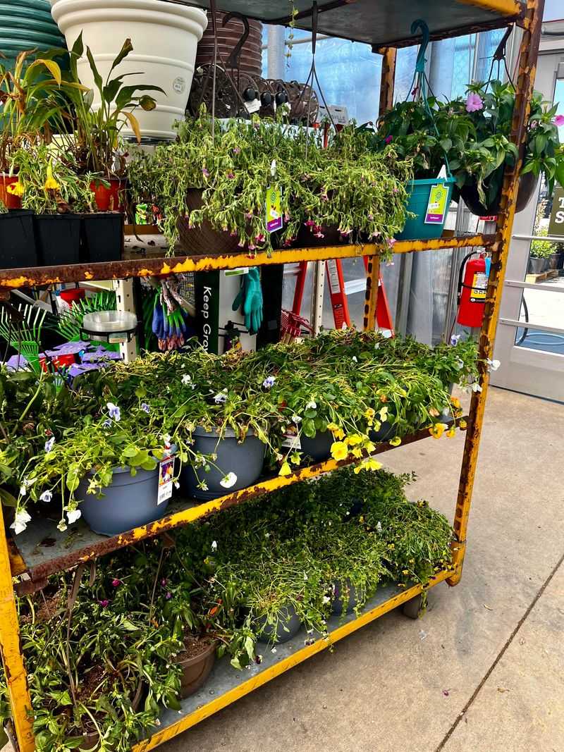 Online Shopping Offers Convenience