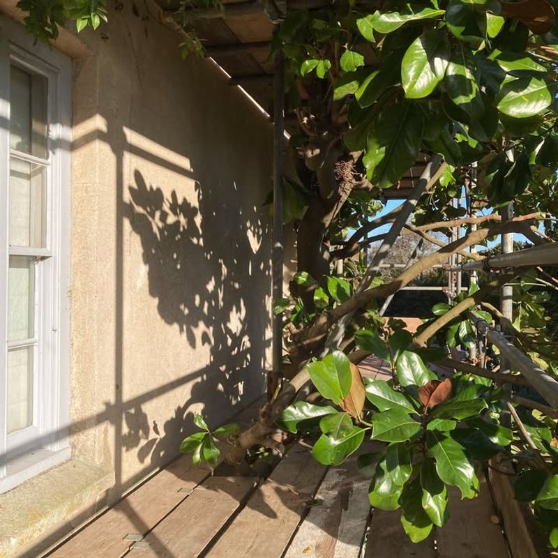 Inspect and Repair Garden Structures