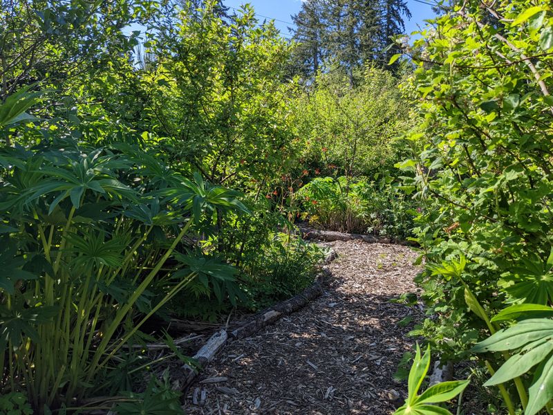 Layer Different Tree Heights