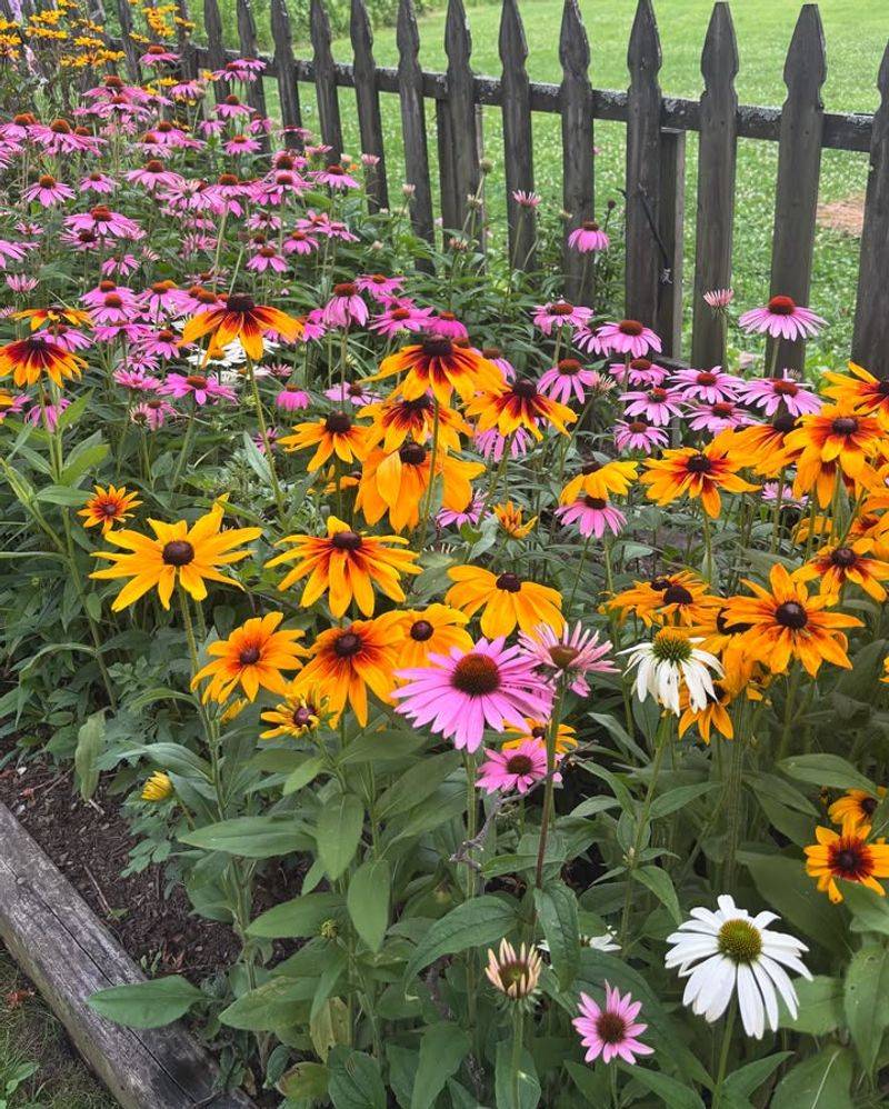 Plant at the Perfect Time for Establishment