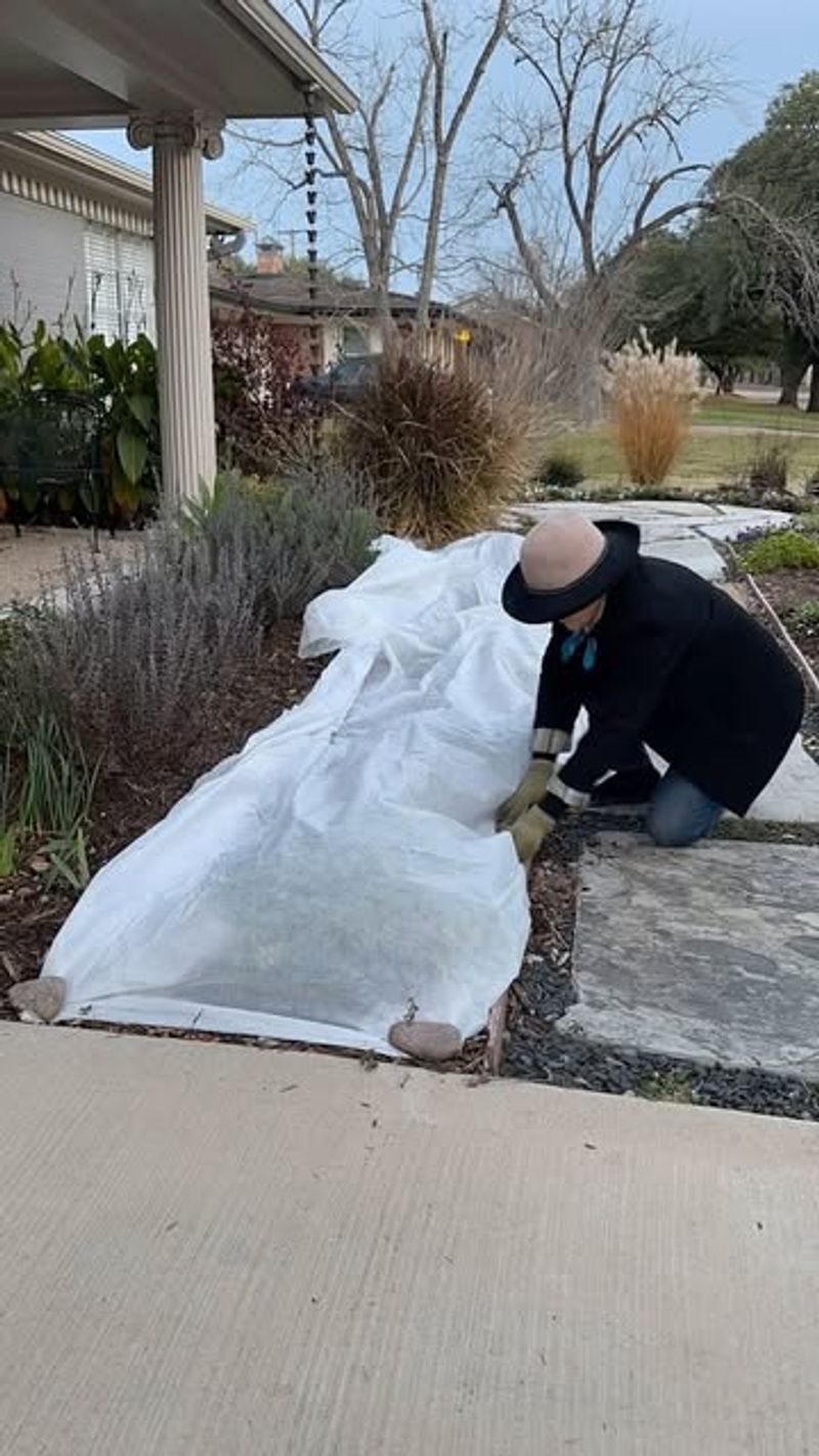 Safe Winter Application With No Heat Release