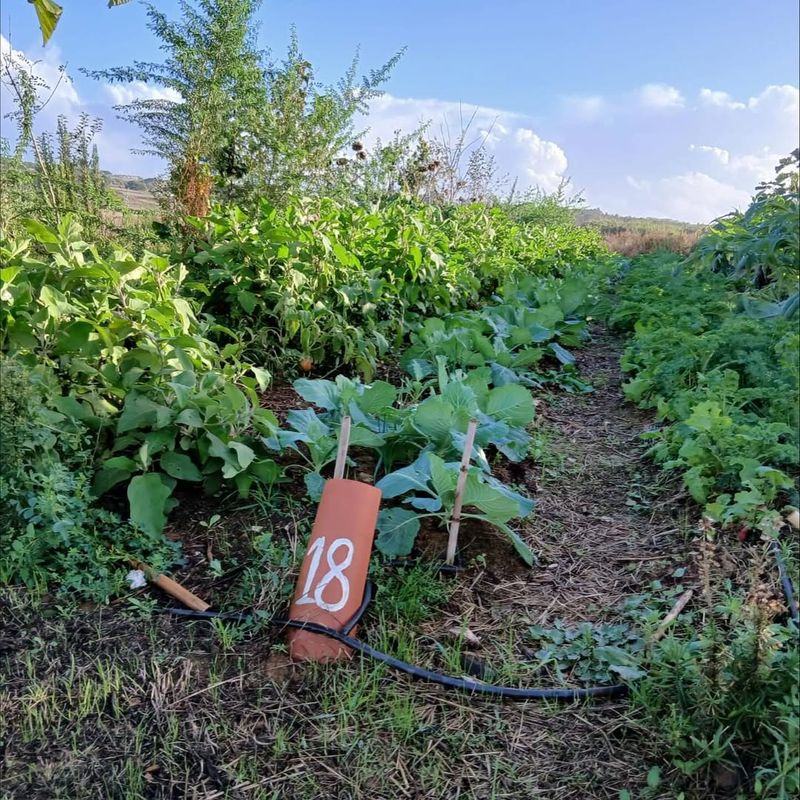 Higher Productivity In Small Spaces