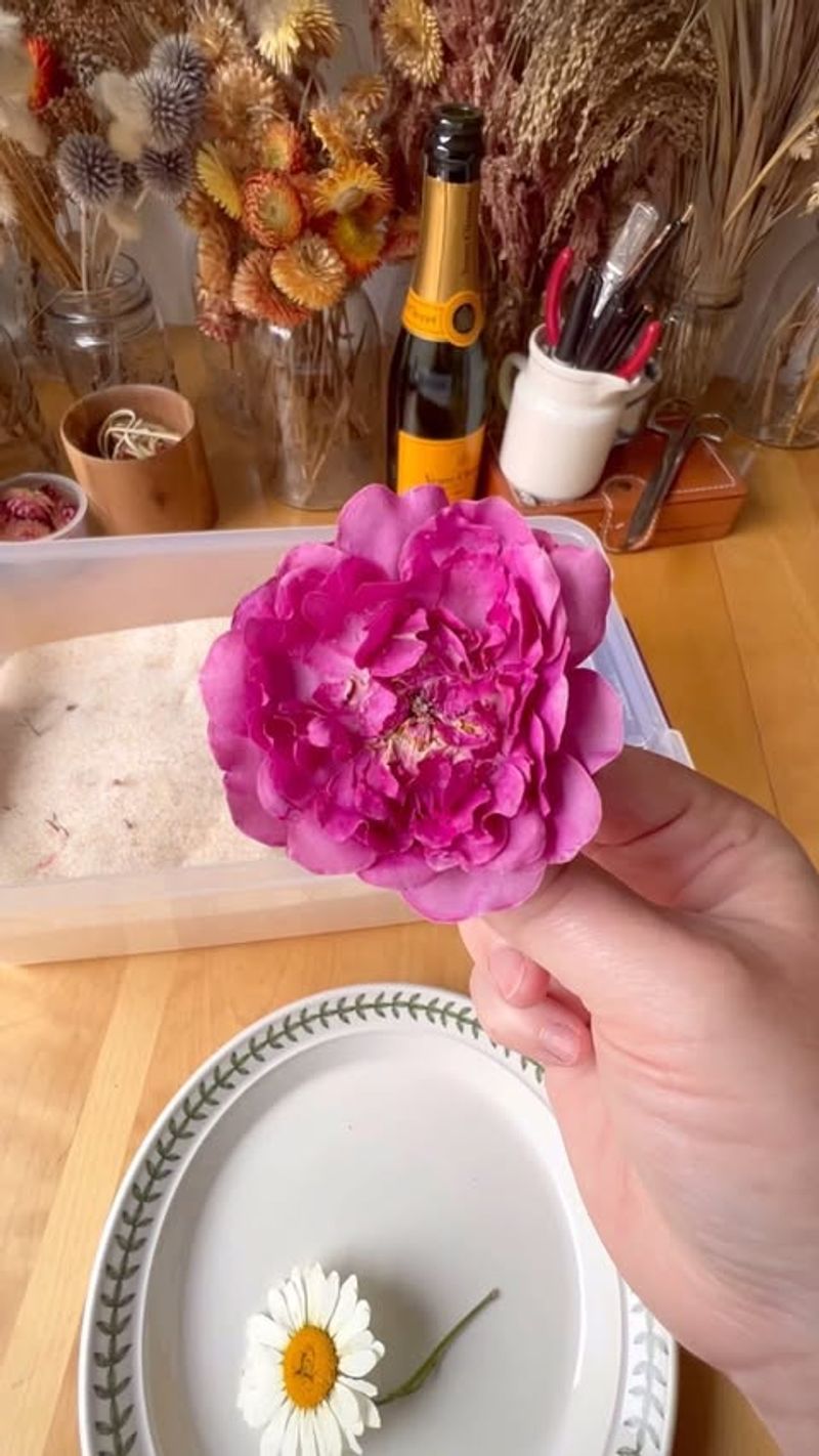 Silica Gel Drying Method