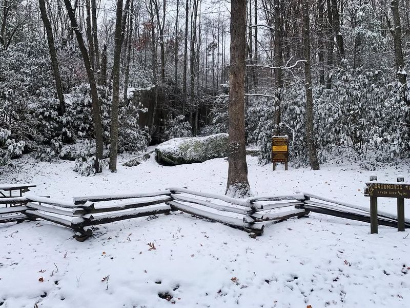 Grass Type Variations Change Frost Appearance