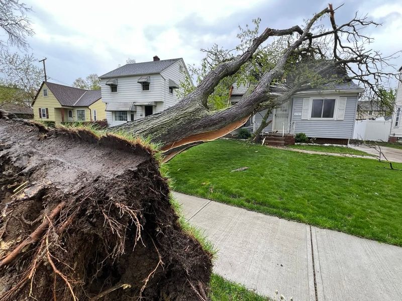 When Legal Action Makes Sense