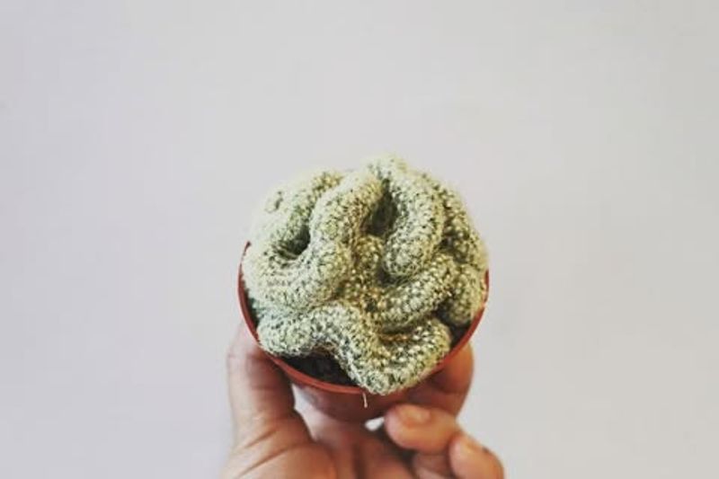 Seen As A Living Sculpture