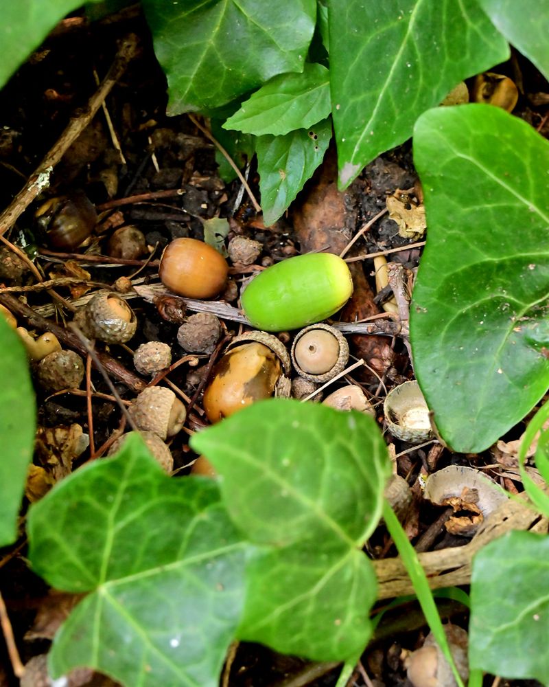 Documenting Costs Helps If Legal Action Becomes Necessary