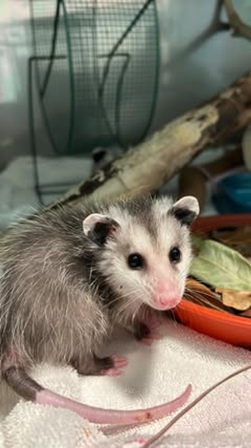 Health Risks Are Often Overstated