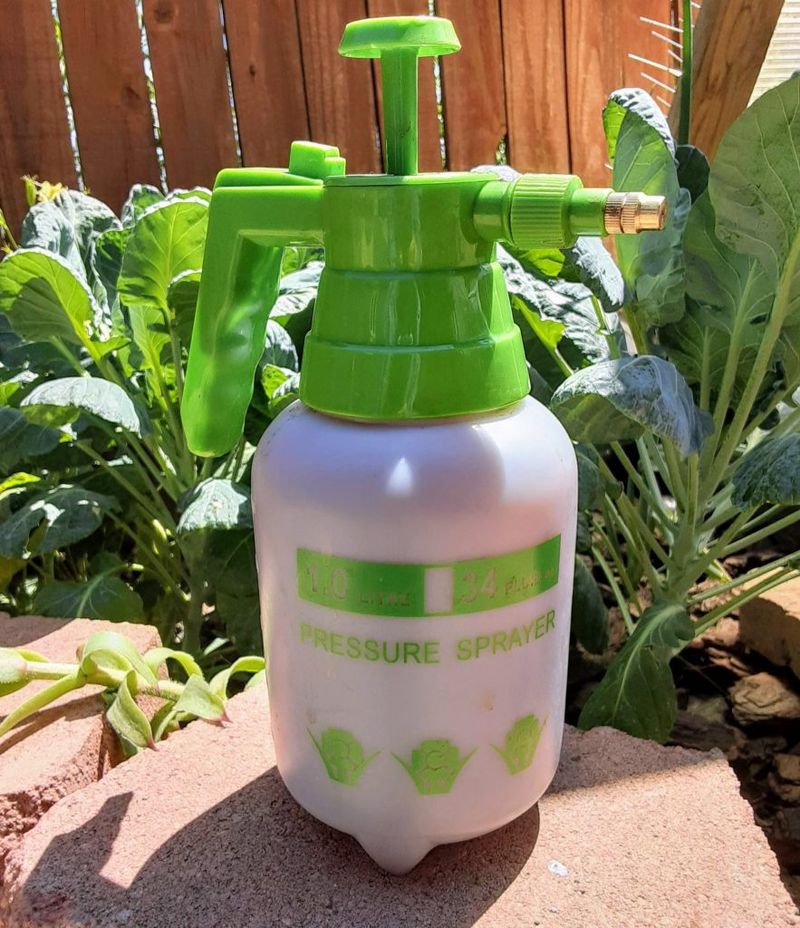 Make Natural Pest Spray From Garden Plants