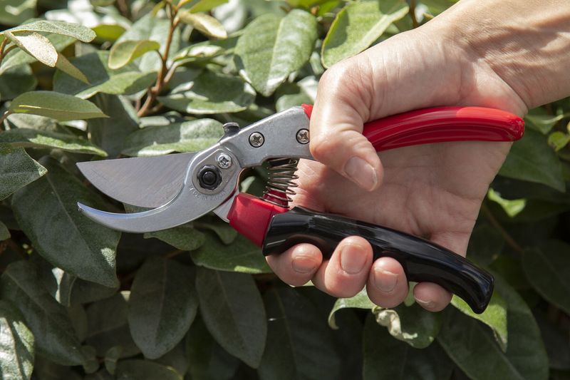 Handle Comfort And Grip Design Reduce Hand Fatigue