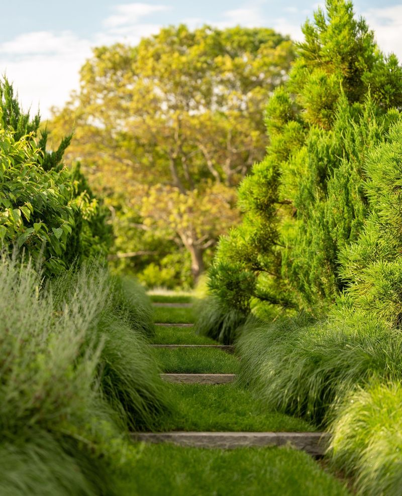 Roots Present Different Challenges