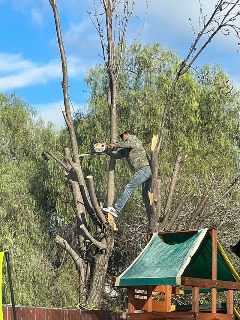 Removal Costs And Cleanup Obligations