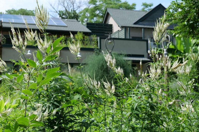 Delaware Law Protects Most Garden Choices