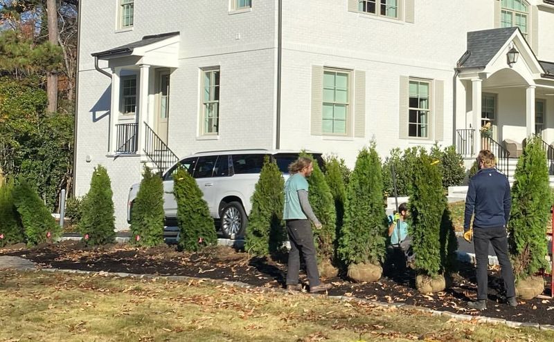 Trees On Property Lines Create Shared Responsibility