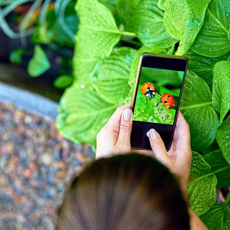 Community Support Networks Are Forming