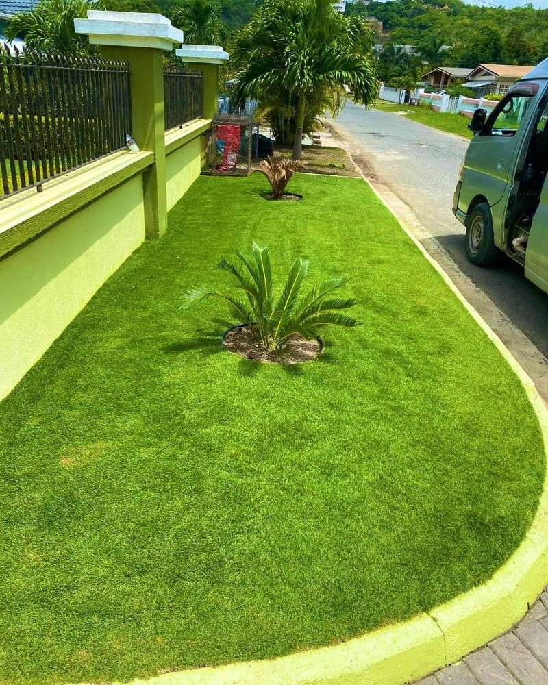 Grass Allergies Affect Many Families