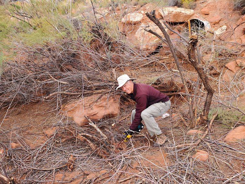 Removal Requires Persistent Effort