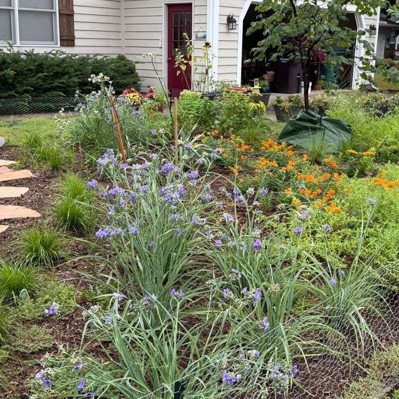 Community Trends Make It Easier Than Ever