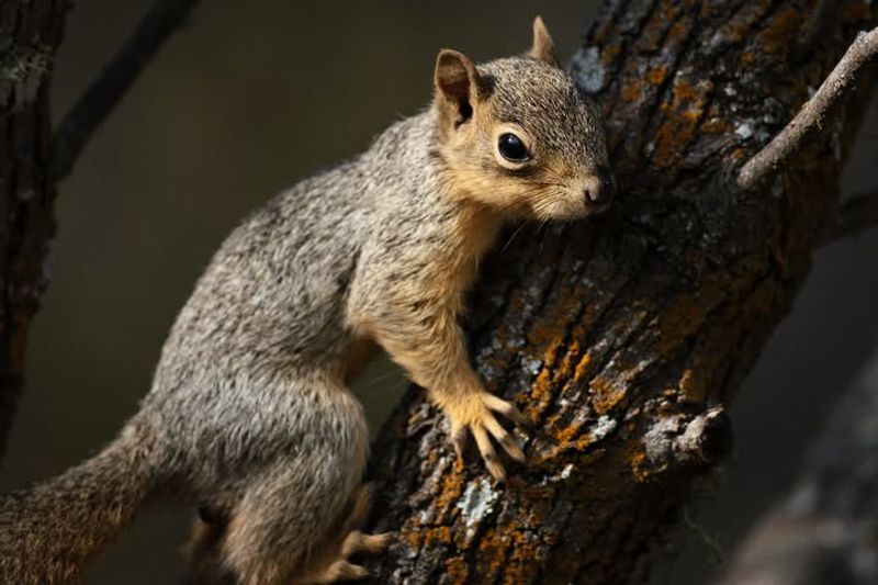 Children Learn Valuable Environmental Lessons At Home