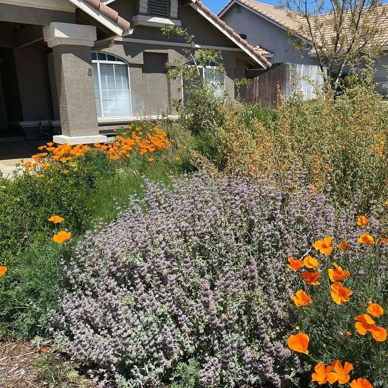 Environmental Impact Reduction Benefits The Entire Community