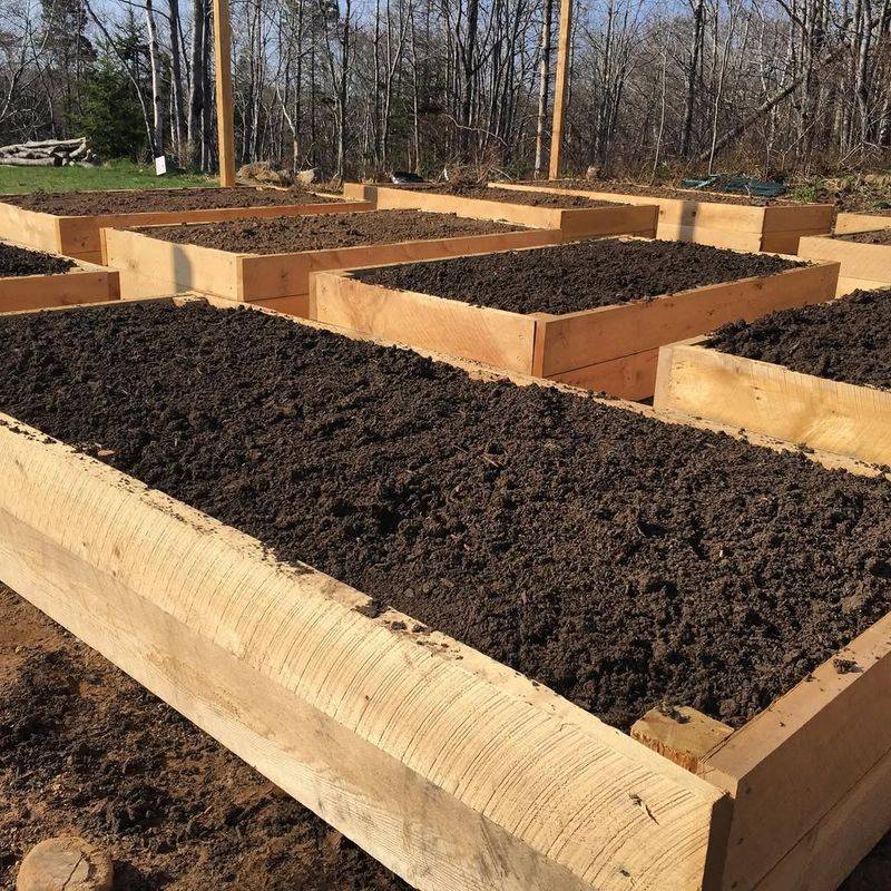 Avoid Disturbing Soil During Winter Months