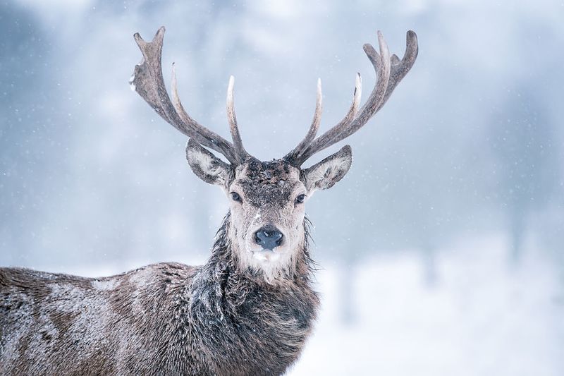 Document The Encounter Safely