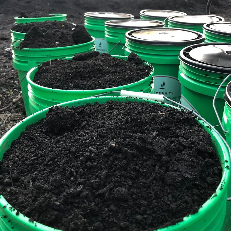 Adding Finished Compost as a Starter